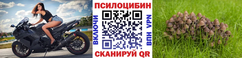 Галлюциногенные грибы Psilocybe Купить где Лахденпохья